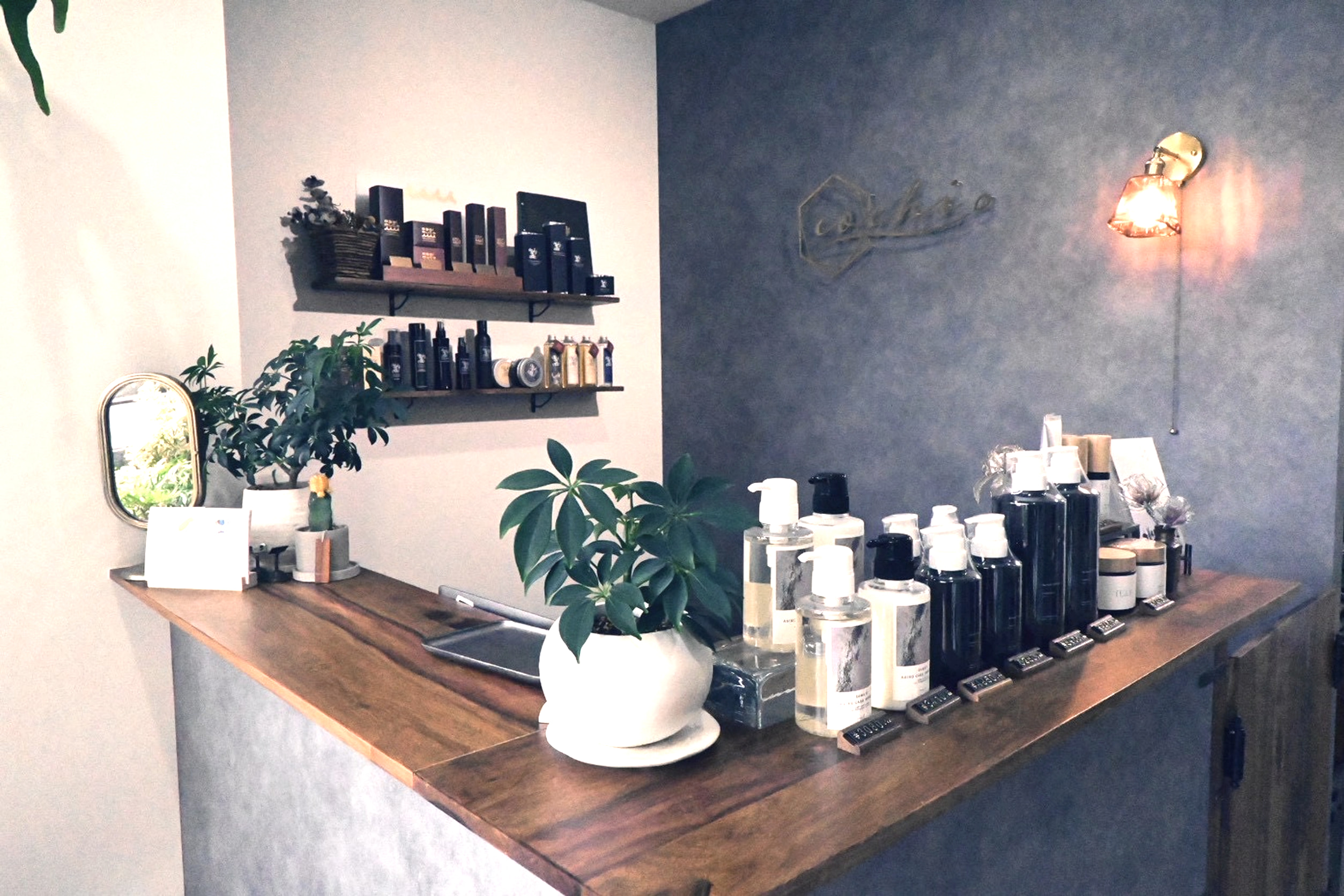 cochi 店内 1